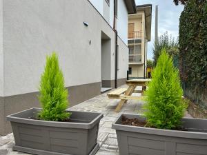 dos ollas con plantas en un patio en Treviolo - Immobili e Soluzioni Rent, en Treviolo