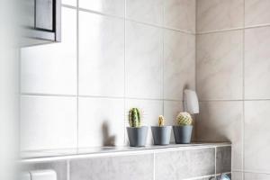 three plants sitting on a shelf in a bathroom at Südalb in Albstadt +18 photos