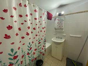 a bathroom with a shower curtain with red flowers on it at Oasis 1.6 in Mendoza +32 photos