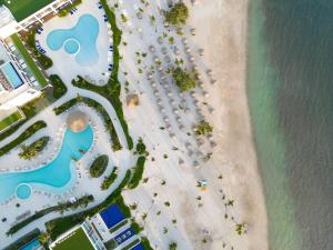 an overhead view of a beach with a resort at Serenade Punta Cana Beach & Spa Resort in Punta Cana