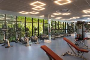 Fitness centrum a/nebo fitness zařízení v ubytování Serenade Punta Cana Beach & Spa Resort
