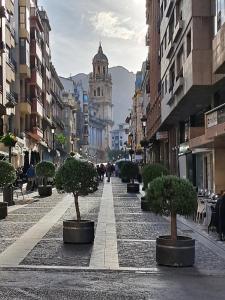 a street in a city with trees in pots at Centrico, Parking incluido in Jaén