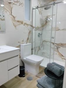 a bathroom with a toilet and a shower at Alojamento Andorinhas in Senhora da Hora