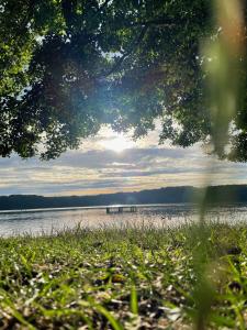 - une vue sur un lac avec un quai dans l'eau dans l'établissement Ferienwohnungen im Haus Waldstück, à Lärz