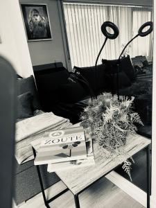 sala de estar con mesa de centro y libro en Cozy studio, en Knokke-Heist
