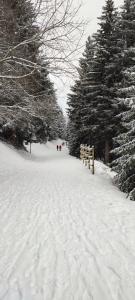 a group of people walking down a snow covered road at Studio tout confort in Les Adrets