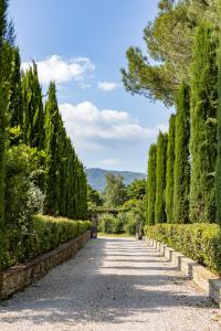 a walkway through a garden with trees at Agriturismo LaPievuccia in Castiglion Fiorentino