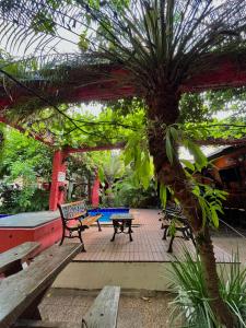 a picnic area with benches and a palm tree at Hotel Centro Villarrica in Villarrica