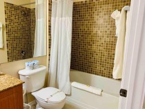 a bathroom with a toilet and a tub and a shower at Universal and Convention Center Best Resort Studio in Orlando +23 photos