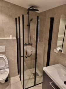 bagno con doccia e servizi igienici. di Apartment mandal 
