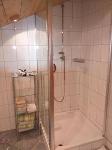 a shower with a glass door in a bathroom at Wagner-Schneider-Hof in Chieming
