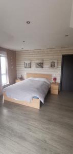 um quarto com uma cama grande num quarto em Chez manu em Voellerdingen