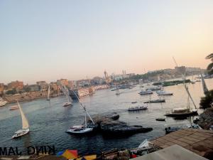 a group of boats in a body of water at Mostafa Jamaica guesthouse in Aswan +86 photos