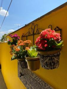 three flower pots on a wall with flowers in them at Aconchego Mineiro com Garagem in Belo Horizonte