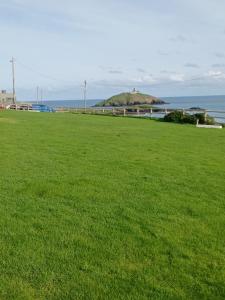 a field of green grass with an island in the background at The Boathouse in Cork