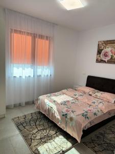 - une chambre avec un lit et une fenêtre dans l'établissement Casacris Studio Carnabel SRL, à Cîmpineanca