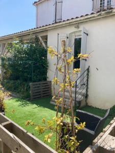 Ogród w obiekcie Hôtel Chez Léonie - Chez Mamie Canne
