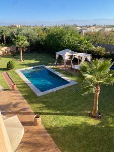 un patio trasero con una piscina, una mesa y una palmera en VILLA EDEN Marrakech RESIDENCE APPLE GARDEN 2000m2, en Marrakech
