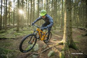 a man riding a bike in the woods at The FIG Studio - Boutique Guest House - near Rønne & Beach in Rønne
