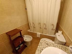 a bathroom with a toilet and a shower curtain at Inmocyma Cerler-Prados de Velarta C2 8 -vistas panorámicas in Cerler +41 photos