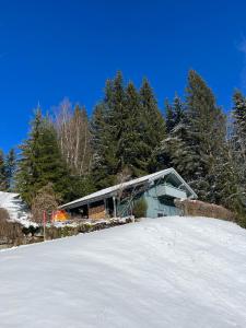 una casa en una colina cubierta de nieve con árboles en Bregenzerwald Ferienhaus, en Egg