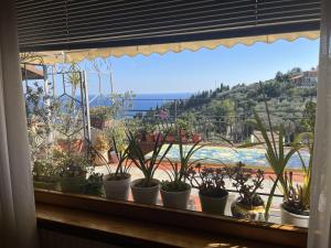 a window with potted plants on a window sill at Villa Le Anfore in Imperia