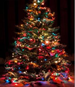 a christmas tree with lights on it in a room at Traditional New Forest cottage in Brockenhurst. in Brockenhurst