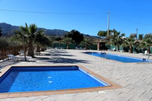 a large blue swimming pool in a courtyard with palm trees at Hostal Rural Turre in Turre