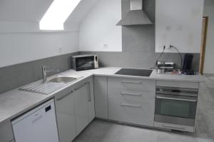 Kuchyň nebo kuchyňský kout v ubytování habitation style industruel + 8 fotografií