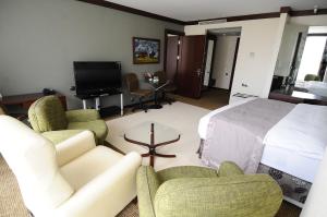 a living room with a bed and chairs and a television at Ontur Butik Hotel in Ankara