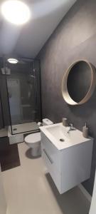 uma casa de banho com um lavatório, um WC e um espelho. em Sur la Plage em Port-la-Nouvelle