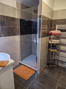 een badkamer met een douche en een wastafel bij cocoon of Troyes secure parking included in Troyes