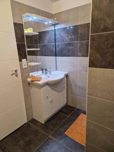 een badkamer met een wastafel en een douche met een spiegel bij cocoon of Troyes secure parking included in Troyes