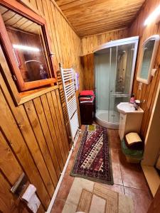 e bagno con doccia, servizi igienici e lavandino. di Ghimes Panorama a Ghimeş