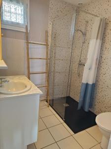 een badkamer met een douche en een wastafel bij Gîte 6-7 personnes pont de braye in Chastanier