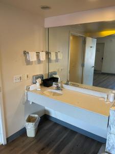 a bathroom with a sink and a large mirror at Express Inn-Rahway in Rahway