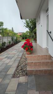 una pasarela con flores rojas al lado de una casa en Hársfaapartman és vendégház, en Gyula