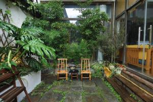 大理Dali Buxianshan Boutique Guesthouse-in Dali ancient city,near three pag odas and erhai lake,provide tour guide service and local experience的花园内种有植物,配有两把椅子和一张桌子
