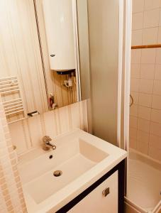 een badkamer met een wastafel en een douche bij Eden Studio La foux d Allos centre station , 50 m du centre avec terrasse plein sud , chambre 4 couchages in La Foux