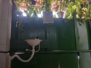 um banho de aves ao lado de uma parede verde com uma planta em Hostel L B em São Luís