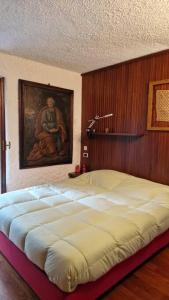 Een bed of bedden in een kamer bij Appartamento villa Tondani