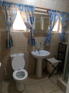 a bathroom with a toilet and a sink at Afsaal Holiday Flats in Amanzimtoti