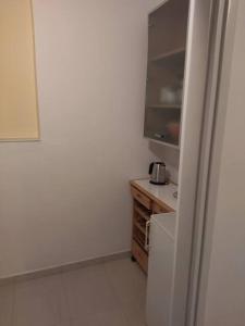 Kuchyňa alebo kuchynka v ubytovaní Apartment Joni A2
