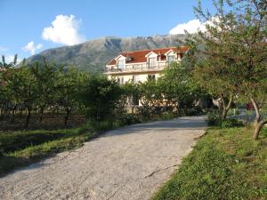 a house on a road in front of a mountain at Apartments Ivetić in Kotor