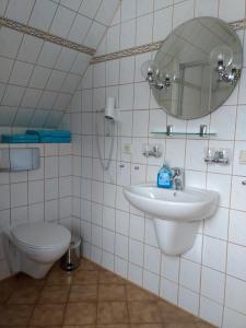 y baño con aseo, lavabo y espejo. en Ferienwohnung Petzold, en Kurort Altenberg