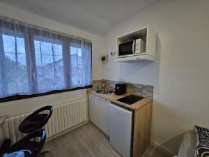 Una pequeña cocina con fregadero y microondas. en Charmant studio équipé de 14m2, en Neuilly-sur-Marne