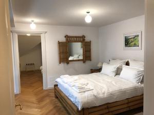 ピアトラ・ネアムツにあるAugsburg Apartの大きなベッドと鏡のある寝室