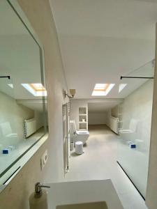 ピアトラ・ネアムツにあるAugsburg Apartのバスルーム(シンク、トイレ、天窓付)