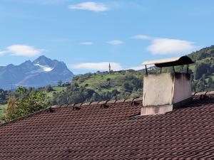 a roof of a house with a mountain in the background at Apartment Buntweg-1 by Interhome in Zams