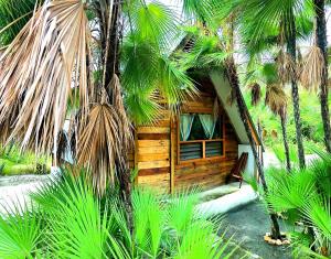 Kin Resort Lodge في Maya Beach: كابينة خشبية أمامها أشجار نخيل